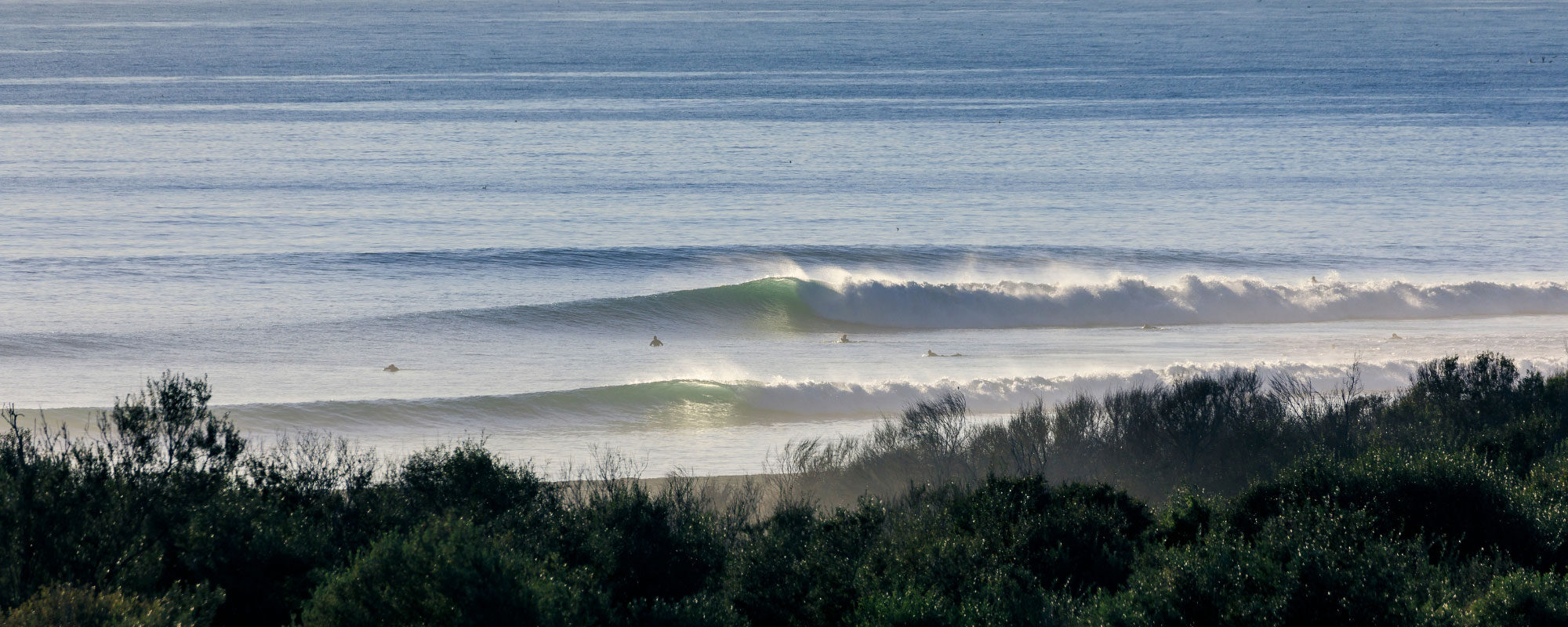 What Does It Take To Save Trestles?